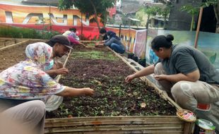 Kembali ke Urban Farming, Upaya Ketahanan di Masa Pandemi