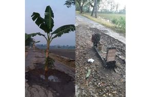 Viral Jalan Rusak Dipasangi Nisan di Pundungsari Klaten, Begini Tanggapan Kades