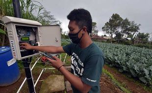 Potret Sukses Petani Muda, Kombinasi Ide dan Teknologi Jadi Kunci