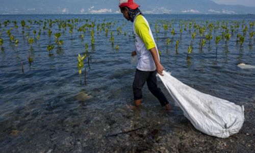 Kesadaran Isu Lingkungan Meningkat, Praktiknya Nanti Dulu