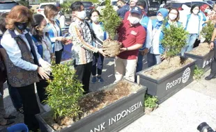 BI dan Rotary Club Bantu Penghijauan Jalan di Kota Solo