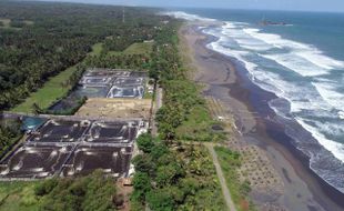 Budi Daya Udang di Lahan Potensial Pesisir Jawa Barat Selatan