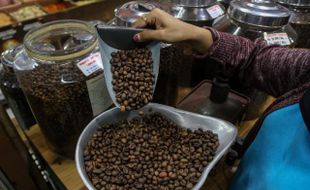 Bermula Produsen Kopi lalu Dikenal karena Ganja