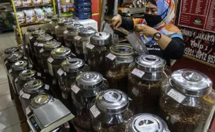 Konsumsi Kopi di Indonesia Meningkat