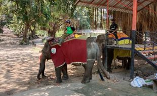 Ini Daftar Objek Wisata di Jateng yang Wajib Tunjukkan Aplikasi PeduliLindungi