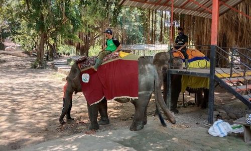 Jurug Solo Zoo Sepi Pengunjung, Ternyata Ini Penyebabnya