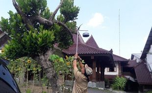 Dampak PPKM, Kualitas Udara Kota Jogja Kian Membaik