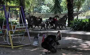 Hari Pertama Pembukaan Taman Balekambang Masih Sepi Pengunjung