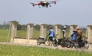 Keren! Petani di Indramayu Jawa Barat Uji Coba Penggunaan Drone untuk Pengendalian OPT