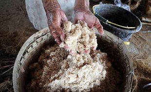 Keajaiban Mutiara Alami dari Semburan Bledug Kuwu Grobogan