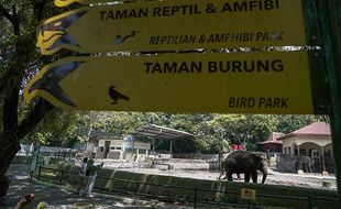 Gembira Loka Zoo Yogyakarta Uji Coba Operasional