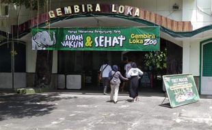 Hari Pertama Kebun Binatang Gembira Loka Diuji Coba, Banyak Pengunjung Kecewa