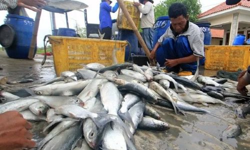 Beri Nilai Tambah, Petani Tambak Jepara Diminta Tak Hanya Jual Bandeng Mentah