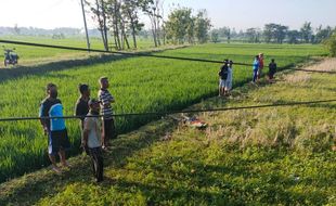 Terungkap! Ini Identitas Jasad Tergeletak di Area Sawah Klumprit Sukoharjo