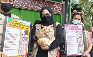 Rumah Difabel Meong Kampanye Adopsi Kucing Jalanan di Kota Solo