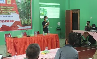 Potensi Menjanjikan, Kelompok 325 KKN UNS Ajak Warga Wuryantoro Wonogiri Tanam Pisang Cavendish