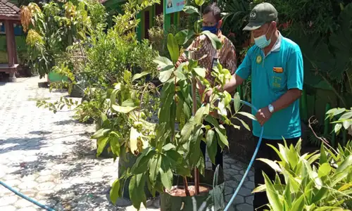 Wow, Program Sekolah Sehat SMPN 1 Sidoharjo Sragen Juara II Se-Asia Tenggara Lho!