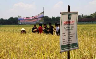 LPPNU Klaten: Harga Hasil Pertanian Rendah Hambat Regenerasi Petani