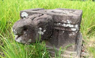 Bentuknya Mirip Kura-Kura, Yoni di Tengah Sawah Tol Solo-Jogja Klaten Namanya Candi Asu