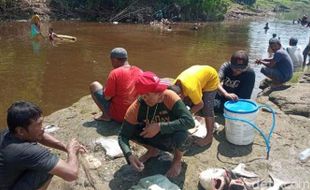 Bengawan Solo Tercemar Ciu, Ikan-Ikan di Blora Ikut Mabuk