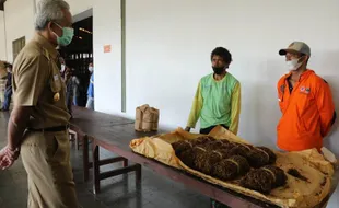 Petani Tembakau di Jateng Galau, Panen Raya Tapi Serapan Rendah