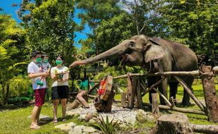 Terbebani Biaya Operasional, Gembira Loka Zoo Hanya Buka Akhir Pekan