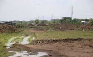 Sawah di Kuncen Klaten Berkurang 6 Ha untuk Tol Solo-Jogja