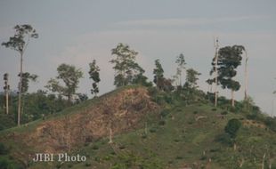 Waduh, Lahan Kritis di Karanganyar Capai 12.000 Hektare