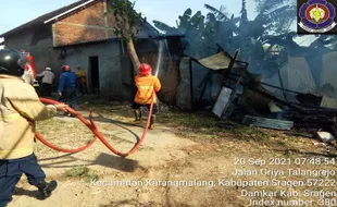 Kandang Sapi di Sragen Ludes Terbakar Gara-Gara Bakar Sampah