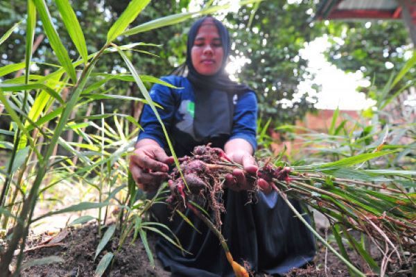 Ketimpangan Penguasaan Lahan Tak Kunjung Diselesaikan