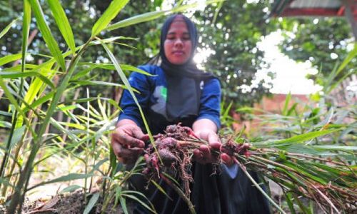 Ketimpangan Penguasaan Lahan Tak Kunjung Diselesaikan