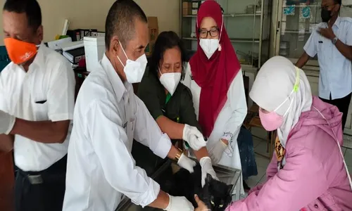 Pertahankan Status Bebas Rabies, DPKPP Klaten Vaksin Hewan Peliharaan