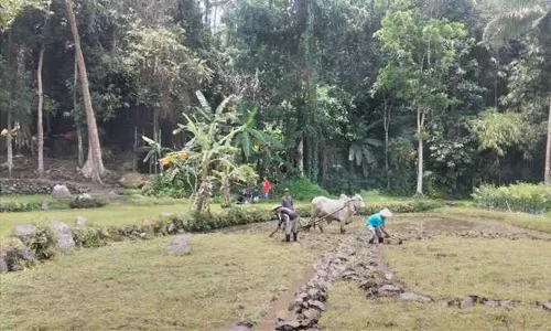 Pemerintah Kabupaten Sleman Canangkan Gerakan Setop Boros Pangan