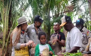 Hutan bagi Masyarakat Papua adalah Pasar Tanpa Uang