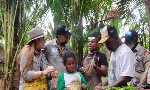 Hutan bagi Masyarakat Papua adalah Pasar Tanpa Uang