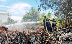 Sulitnya Pemadaman Kebakaran Lahan Gambut Di Aceh Barat