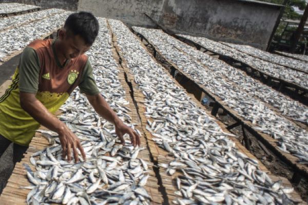 Stimulus Malah Melipatgandakan Subsidi Bahan Bakar Fosil