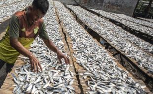 Stimulus Malah Melipatgandakan Subsidi Bahan Bakar Fosil