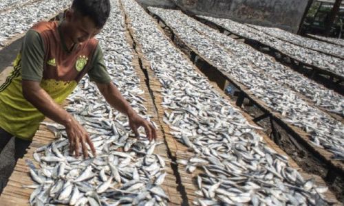 Stimulus Malah Melipatgandakan Subsidi Bahan Bakar Fosil