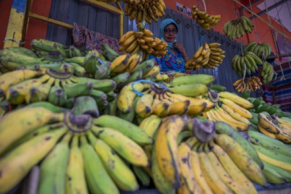 Perjanjian Dagang RCEP Bisa Merugikan Petani dan Buruh