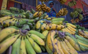 Perjanjian Dagang RCEP Bisa Merugikan Petani dan Buruh