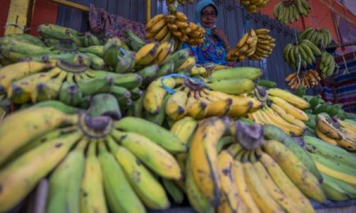 Perjanjian Dagang RCEP Bisa Merugikan Petani dan Buruh