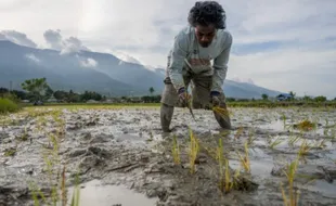 40% Populasi Dunia Tak Mendapat Akses ke Makanan Sehat