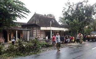 Terungkap, Kronologi Pelajar SMP Meninggal Tertimpa Pohon di Sragen