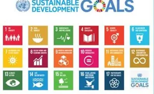 Gelar Pilkades, 15 Desa di Wonogiri Jadi Pilot Project Pemutakhiran Data SDGs