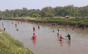 Sejak Subuh, Ratusan Pencari Ikan Serbu Dam Colo Sukoharjo