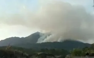 Lereng Gunung Batur Di Gianyar Bali Terbakar