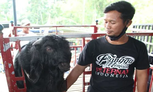 Suharno, Peternak Sukses Klaten Punya Kambing Etawa Dihargai Rp300 Juta