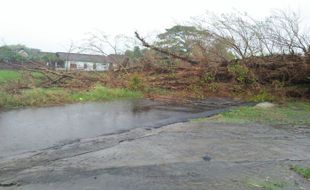 Angin Ribut Terjang Klaten, 4 Tiang Listrik Ambruk, 1 Timpa Truk