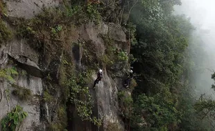 Bergelantungan di Tebing Upaya Mengembalikan Spesies Anggrek Merapi